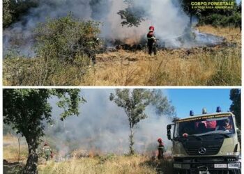 Incendio nelle campagne di Berchidda, sul posto il Corpo forestale