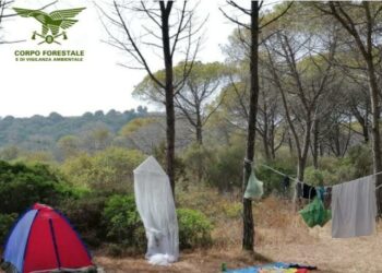 Siniscola: campeggio abusivo nella pineta di Mandras, arriva la sanzione della Forestale
