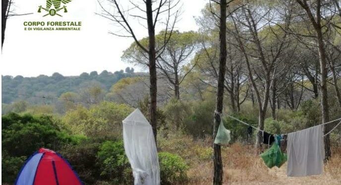 Siniscola: campeggio abusivo nella pineta di Mandras, arriva la sanzione della Forestale