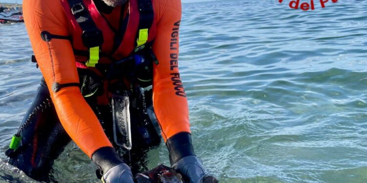 Budoni: una razza in difficoltà nella spiaggia “Salamaghe”, è stata soccorsa dai vigili del fuoco