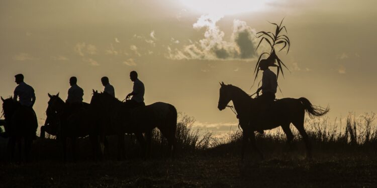 A Guasila nuova gestione museale, ricco calendario per i festeggiamenti di Ferragosto ed il festival dell’Altrove