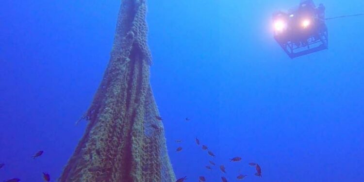Si sono svolti a fine luglio, nell’area intorno all’Asinara e alla Costa Nord Occidentale della Sardegna, i monitoraggi di ISPRA