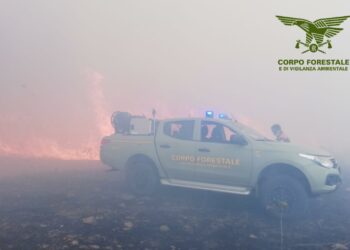 Incendi a Villamassargia, Usellus e Burgos