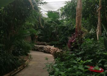 Bono: concluse le attività di “Spazio Giovani”