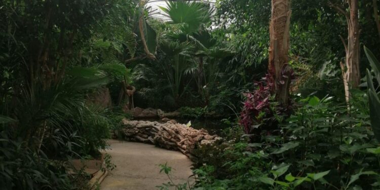 Bono: concluse le attività di “Spazio Giovani”