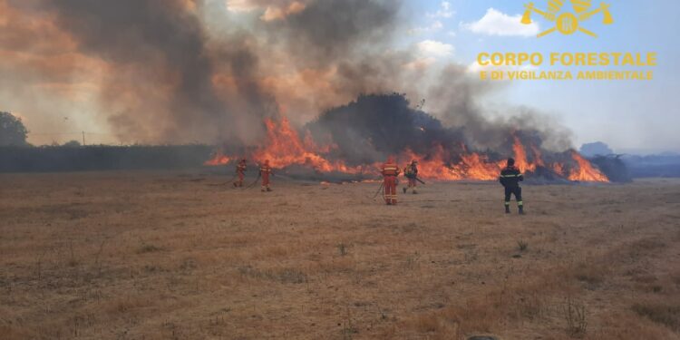 Incendio nelle campagne di Bolotana, sul posto il Corpo forestale