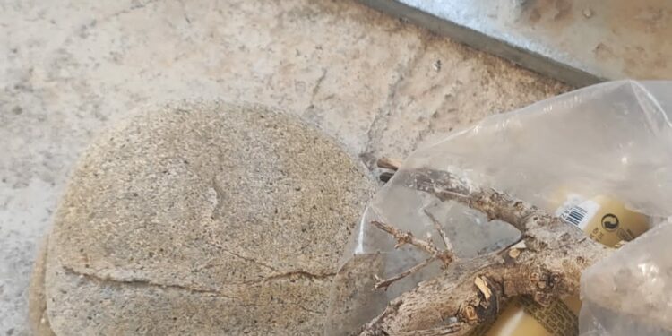 Olbia: tentano di imbarcare pietre e sabbia prelevate dalle spiagge di Cannigione, nei guai una coppia di turisti