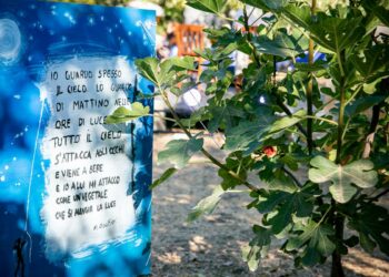 Il 27 agosto, a Seneghe, in Casa Addis, prende il via il Cabudanne de sos poetas