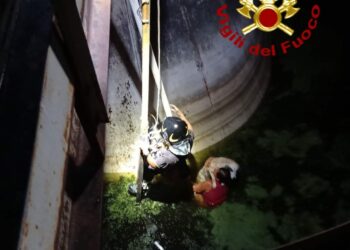 La Maddalena: un cane cade in vascone d’acqua, la padrona si cala all’interno ma non riesce a risalire, salvati dai vigili del fuoco