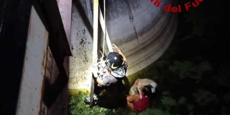 La Maddalena: un cane cade in vascone d’acqua, la padrona si cala all’interno ma non riesce a risalire, salvati dai vigili del fuoco