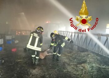 Mores: a fuoco un’azienda agricola, sul posto i vigili del fuoco