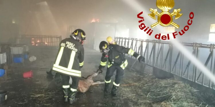 Mores: a fuoco un’azienda agricola, sul posto i vigili del fuoco