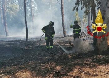 Incendio nella pineta di Torre Grande, sul posto i vigili del fuoco