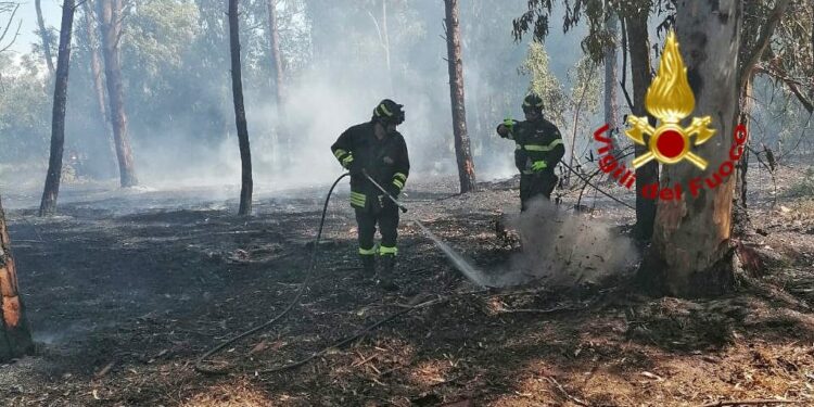 Incendio nella pineta di Torre Grande, sul posto i vigili del fuoco