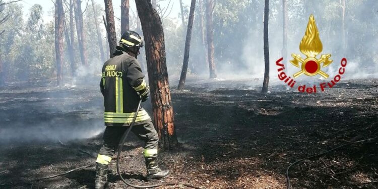 Incendio nella pineta di Torre Grande, sul posto i vigili del fuoco