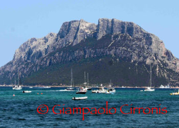 Nuovo avviso di condizioni meteo avverse per elevate temperature, valido dalle 6.00 del 17 agosto alle 6.00 del 18 agosto 2022