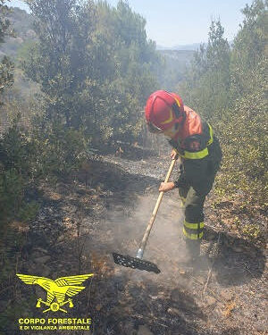 Incendio nelle campagne di Serdiana