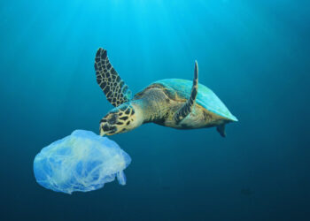 “Sardegna for Future”: in volo su una mongolfiera per la salvaguardia delle coste sarde