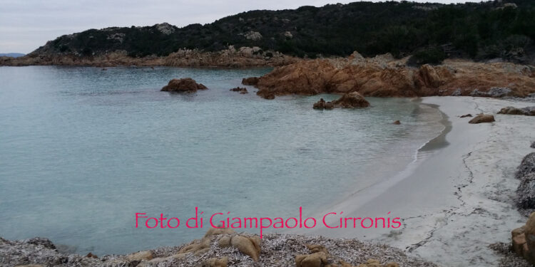 Arzachena: comune e Capitaneria di porto uniti per garantire la corretta fruibilità dei litorali