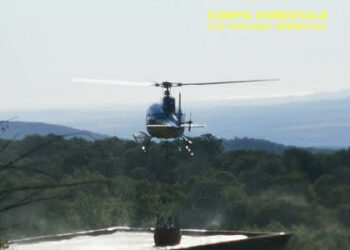 Incendi a Goni, Oristano, Villasalto, Ardauli e Thiesi