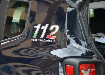 Ieri, a Pauli Arbarei, i carabinieri di Villamar hanno denunciato a piede libero, per coltivazione e detenzione illecita di sostanze stupefacenti, un 48enne del luogo