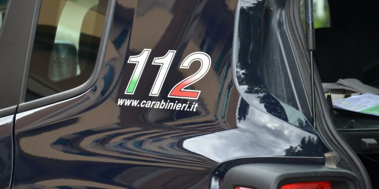 Ieri, a Pauli Arbarei, i carabinieri di Villamar hanno denunciato a piede libero, per coltivazione e detenzione illecita di sostanze stupefacenti, un 48enne del luogo