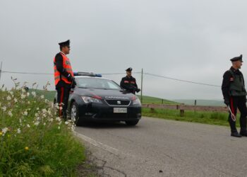 Un operaio 29enne di Selargius ieri è stato denunciato a piede libero a Sinnai, dai carabinieri di Quartu Sant’Elena, per guida in stato di ebbrezza alcolica