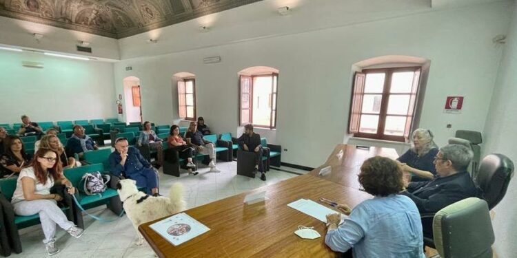 Quartu Sant’Elena: al via la campagna di sterilizzazione dei cani