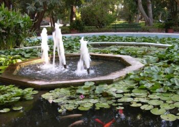 Cagliari: all’orto botanico prende il via il progetto “Seedforce”