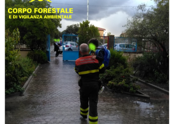 Siamanna, bambini e personale scolastico della scuola dell’infanzia sorpresi da un acquazzone: salvati dal Corpo forestale