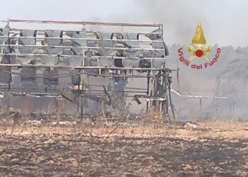 Incendio di sterpaglie e vegetazione nelle campagne adiacenti della Strada provinciale 3