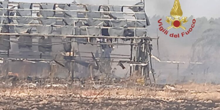 Incendio di sterpaglie e vegetazione nelle campagne adiacenti della Strada provinciale 3