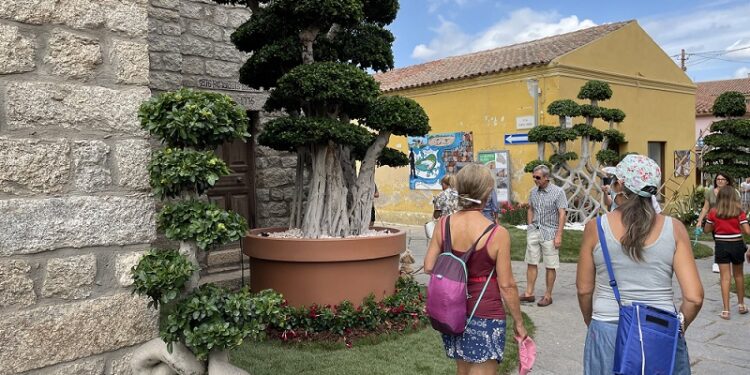 Dal 23 al 25 settembre l’ottava edizione di Arzachena in Fiore