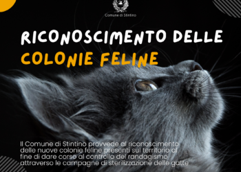 Stintino: istituzionalizzate le colonie feline