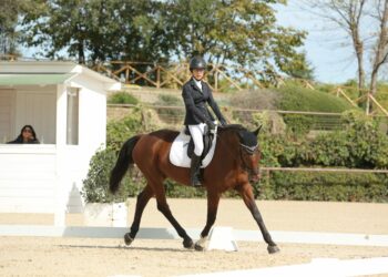 Coppa delle Regioni di dressage: quinto posto per la Sardegna