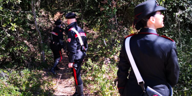 I carabinieri della Stazione di Polizia Militare hanno rintracciato e tratto in salvo due giovani escursionisti che si erano persi all’interno del Poligono del salto di Quirra