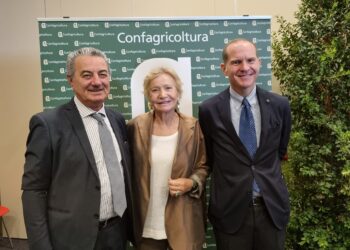 È stato presentato oggi a Cagliari il “Libro Bianco del Verde”