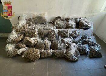Polizia di Stato di Cagliari: arrestato un insospettabile per detenzione ai fini spaccio. Sequestrati oltre 50 kg di stupefacente e 20.000 €