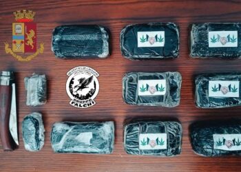 Ieri i Falchi della Squadra Mobile della Questura di Cagliari hanno arrestato una 48enne per detenzione ai fini di spaccio di sostanze stupefacenti