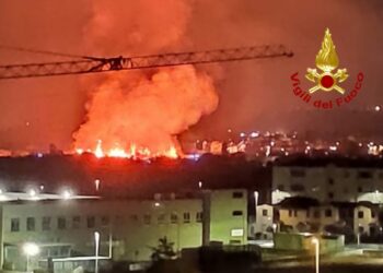 Incendio ieri notte nel parco di Molentargius, a Quartu Sant’Elena