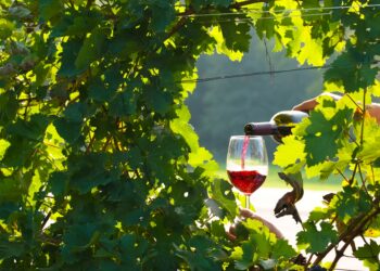 Sabato 17 settembre appuntamento con “Intrecci di vite – Serdiana Wine Festival”