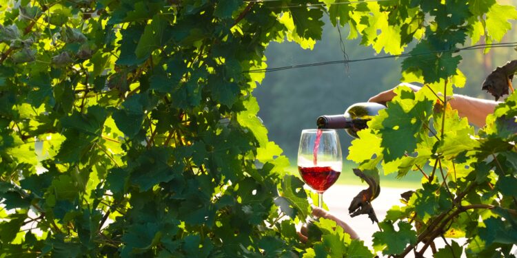 Sabato 17 settembre appuntamento con “Intrecci di vite – Serdiana Wine Festival”