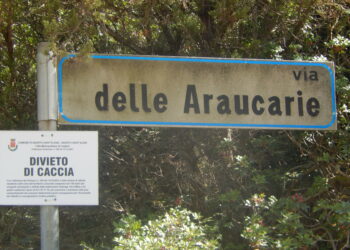 Quartu Sant’Elena: posizionati i cartelli di divieto di caccia a Terra Mala e dintorni