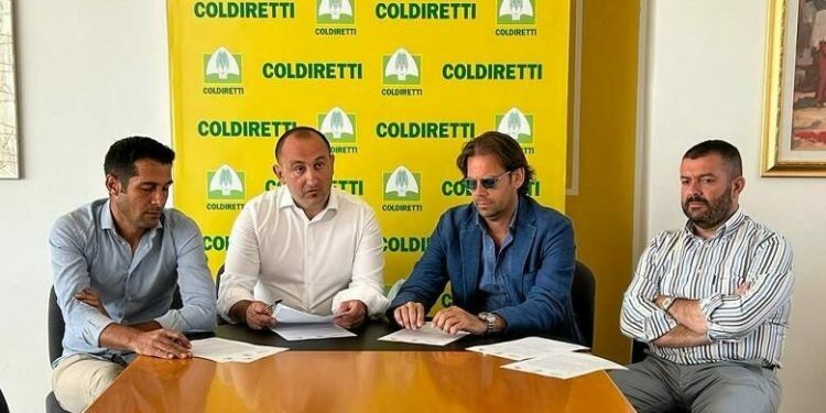 Coldiretti Cagliari: «Burocrazia da scandalo in agricoltura»
