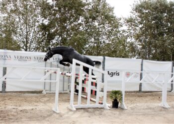 Abbasanta: è tutto pronto per il 60° Premio Regionale Sardo di sport equestri