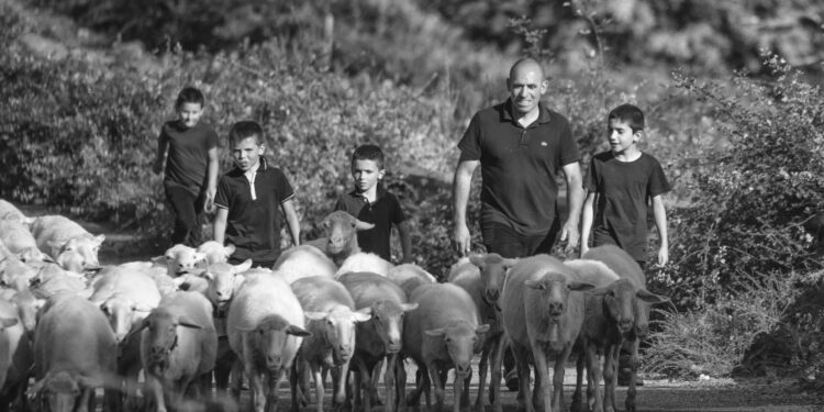 Baradili, Baressa, Senis e Villa Sant’Antonio: al via “A Banda 2022”