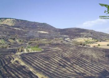 Incendio a Terralba, interviene il Corpo forestale