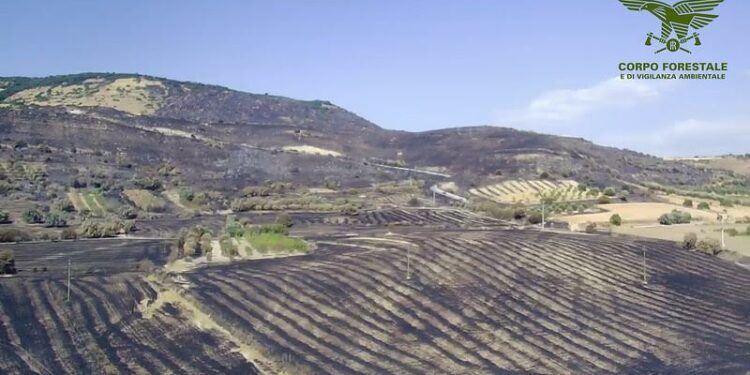 Incendio a Terralba, interviene il Corpo forestale