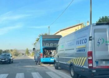 Paola Casula (sindaca di Guasila): «Pullman guasti o troppo pieni, corse che inspiegabilmente saltano, collegamenti non sempre garantiti»