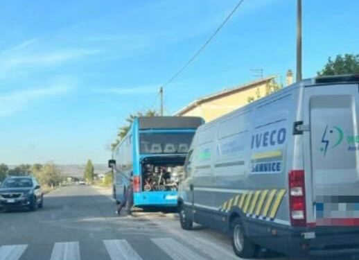 Paola Casula (sindaca di Guasila): «Pullman guasti o troppo pieni, corse che inspiegabilmente saltano, collegamenti non sempre garantiti»